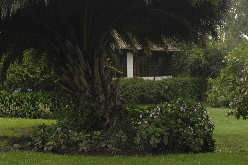 Molino San Juan Bed and Breakfast Cayambe Zewnętrze zdjęcie