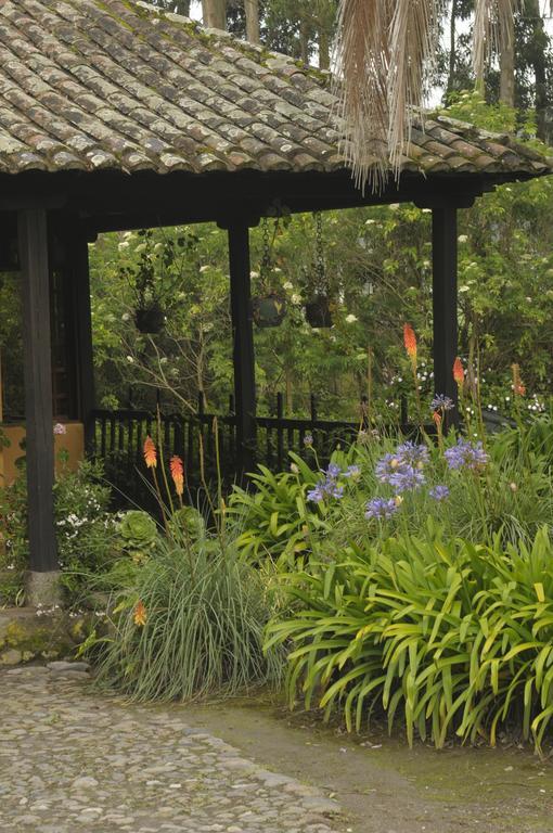 Molino San Juan Bed and Breakfast Cayambe Zewnętrze zdjęcie