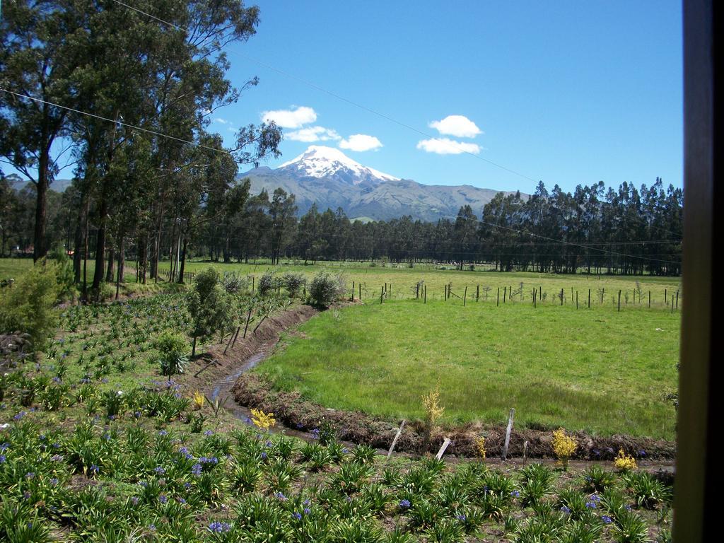 Molino San Juan Bed and Breakfast Cayambe Zewnętrze zdjęcie